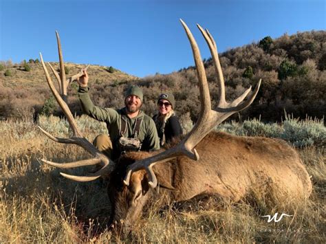 $50-200 to the packer (if a packer assist with packing out your <b>elk</b>) Truck or SUV with good off-road tires Please fill up in Morgan, Coalville, or Evanston before coming to <b>Deseret</b> and bring a filled five gallon gas tank. . Utah elk hunting outfitters prices
